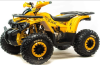tao125x